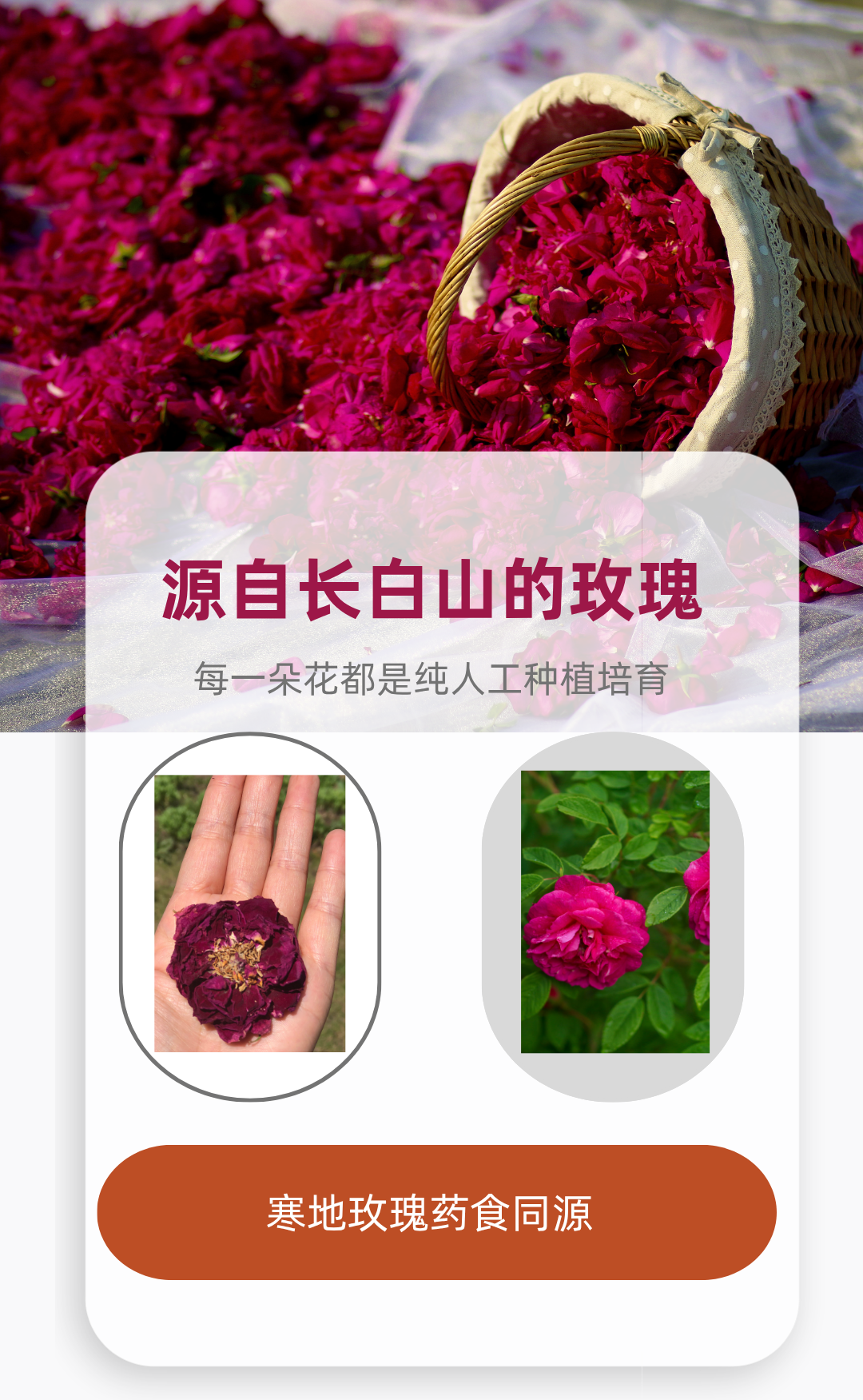 28f72b231fdd033efaafdc5cbc7be177.png