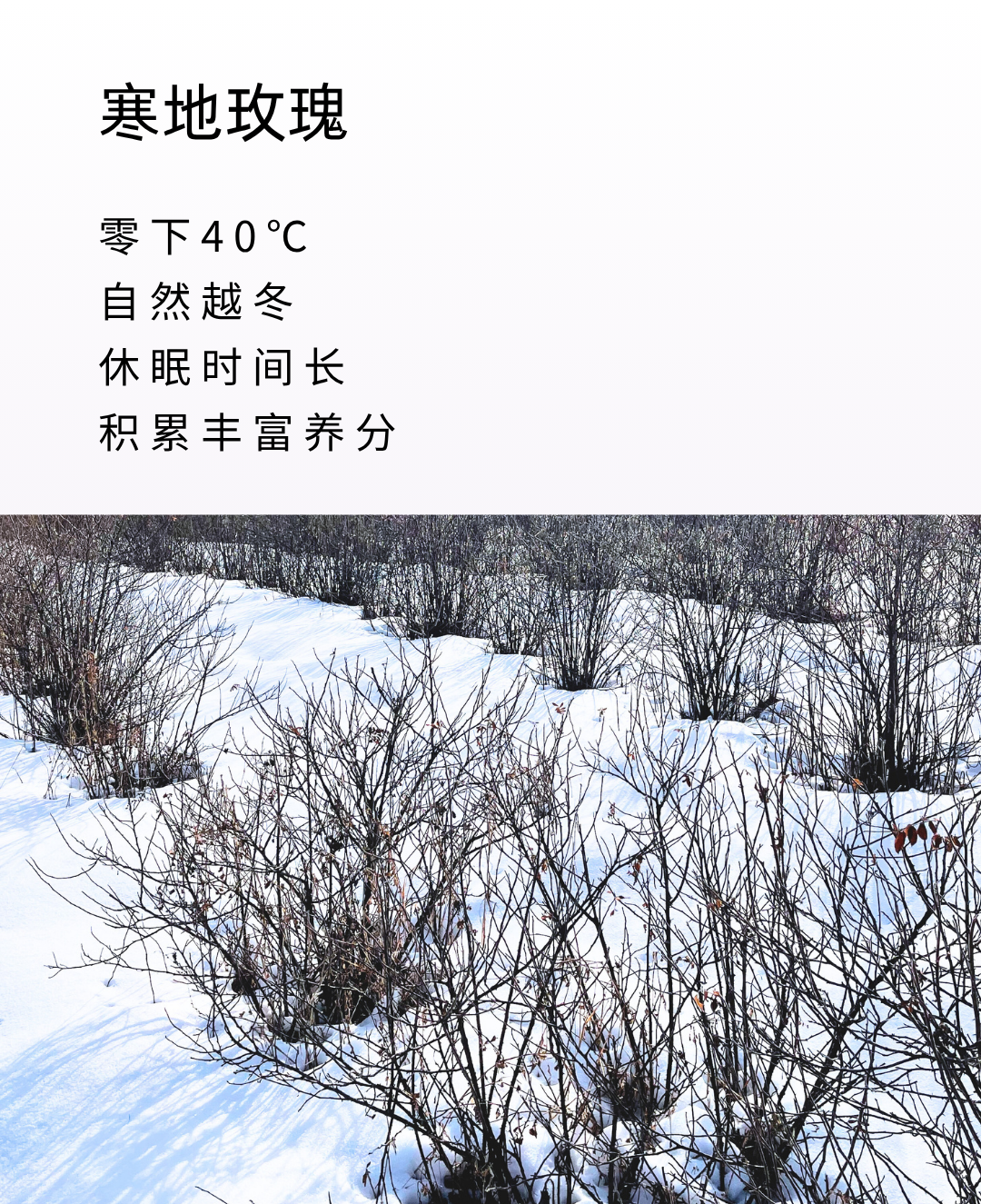 56ff5a429e2c25012cbc1866f8e7226c.png