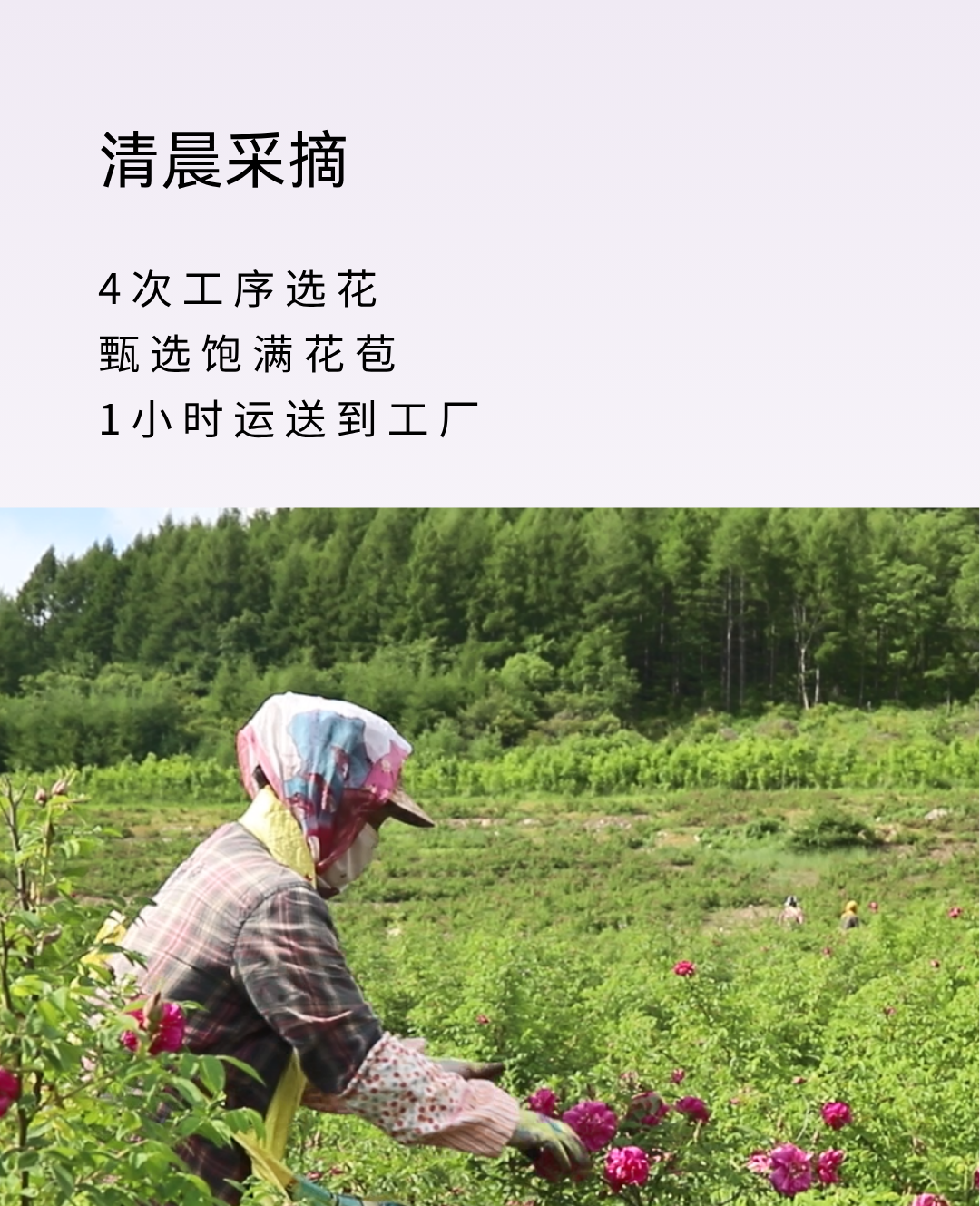 833f7cc138e2ac668a12f3cfab6ca395.png