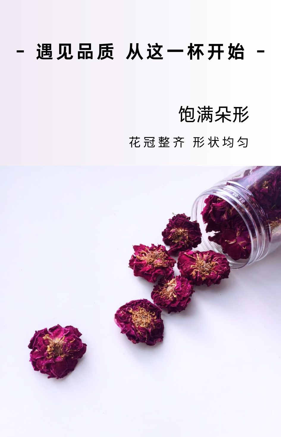a4339df374adc2573e5849dcebe3d502.png