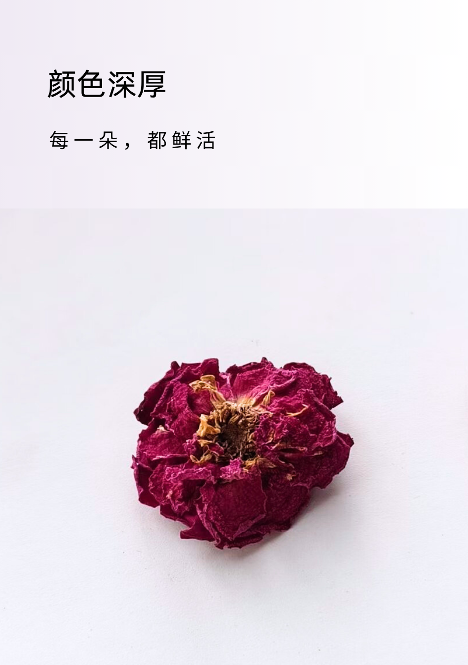 b674ff53bcefc94b3f318be98e42f9af.png