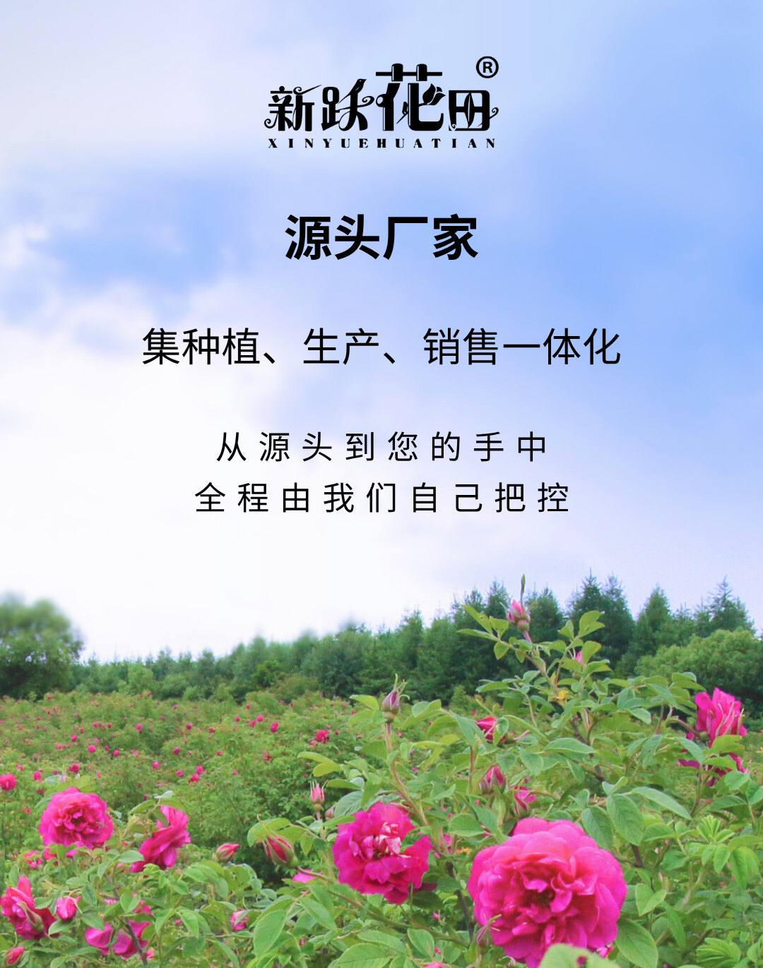 d36110b0f87f8ce4b2f61ecd0576a4bf.png