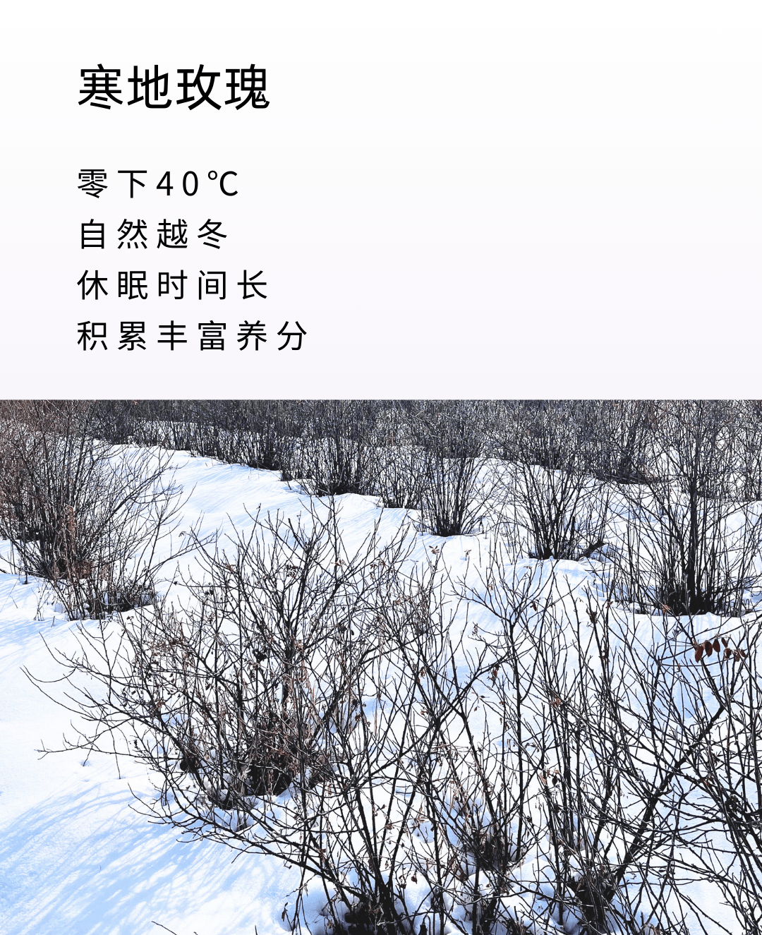 d81ebb697f6f544f771051c83a031a9e.png