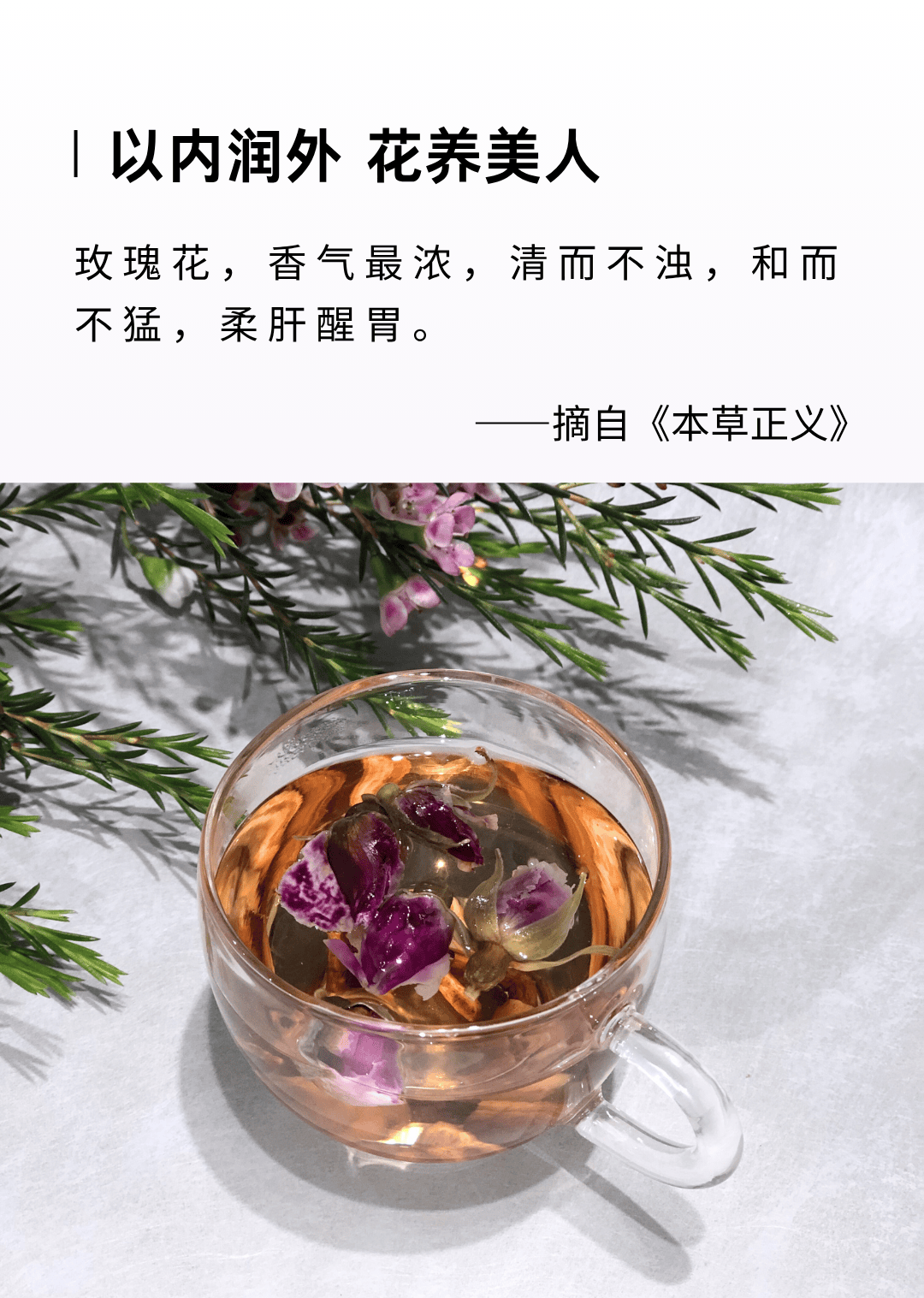 dba5b1b6ba2303b3edee42aa761206e5.png