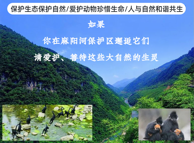 ffe31a6053851b08cd8e0067efd5b327.jpg ffe31a6053851b08cd8e0067efd5b327.jpg
