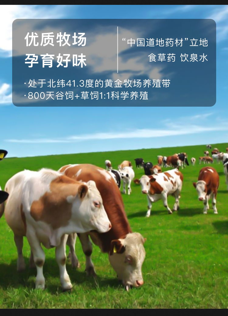 43f6440a0a364cb5a1083eee58f1aab3.png