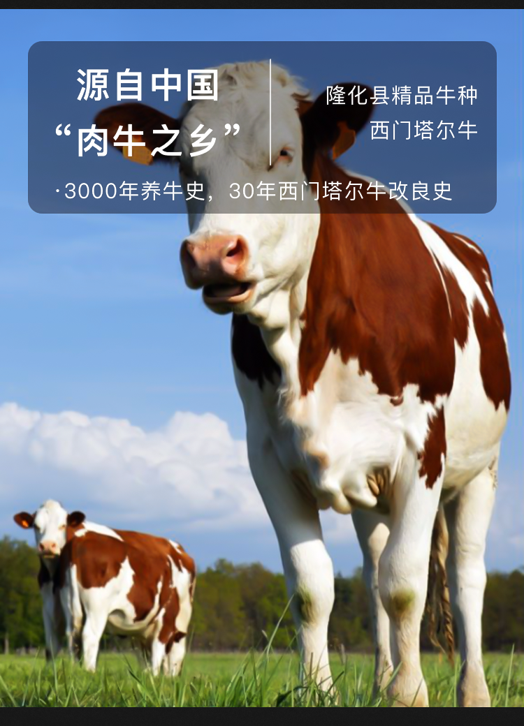 5261bf8cfa25daa6dab38920893b67fe.png