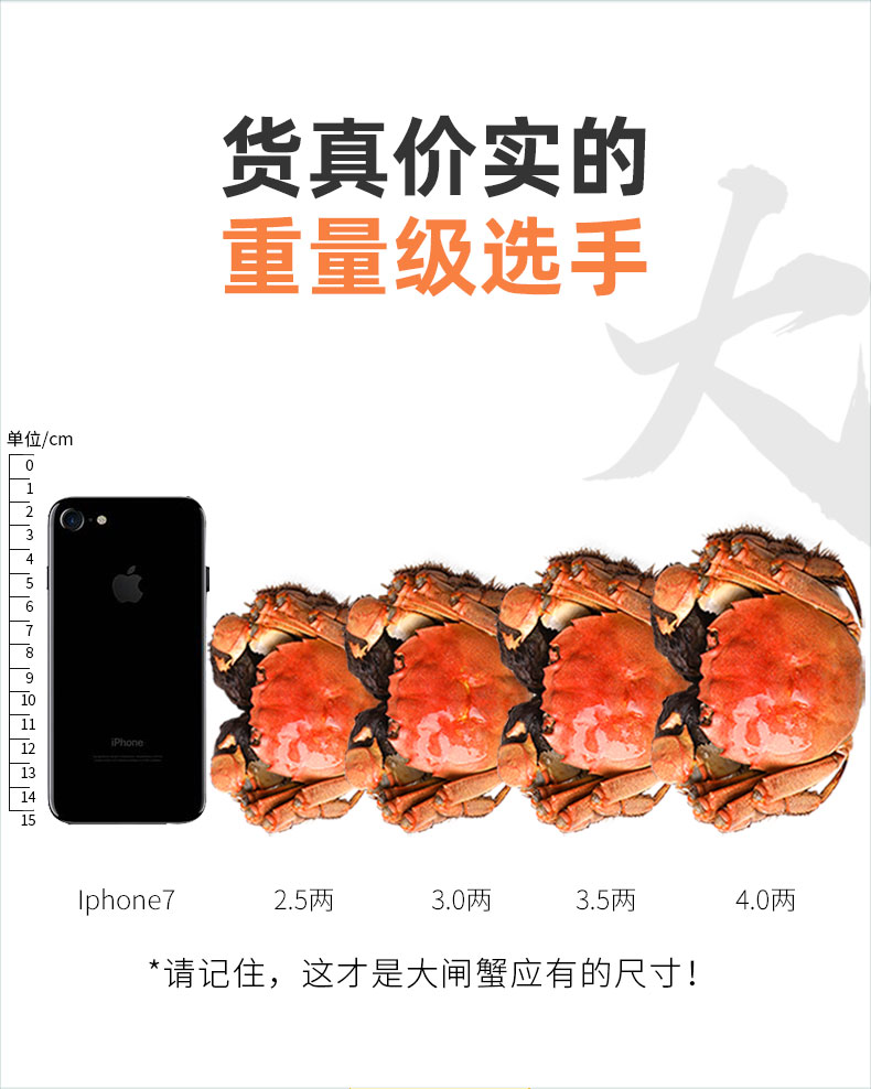 398d8820e3801d8f61dfadfe8b0c8f89.jpg