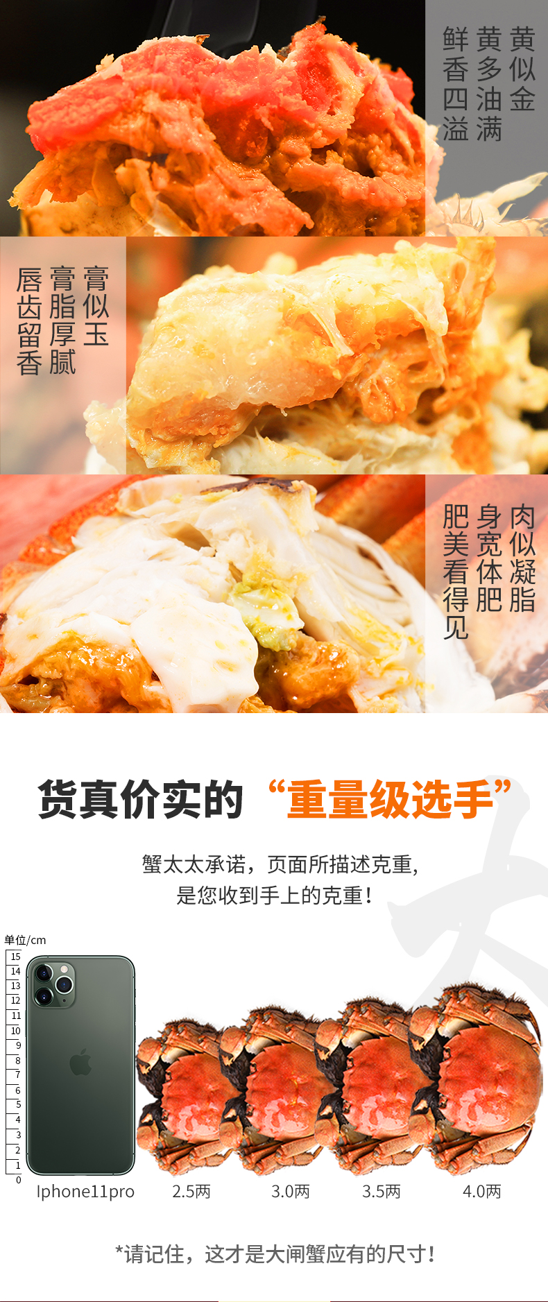 7c9e338aff0d7470fd1e1cdfdb79fc9d.jpg
