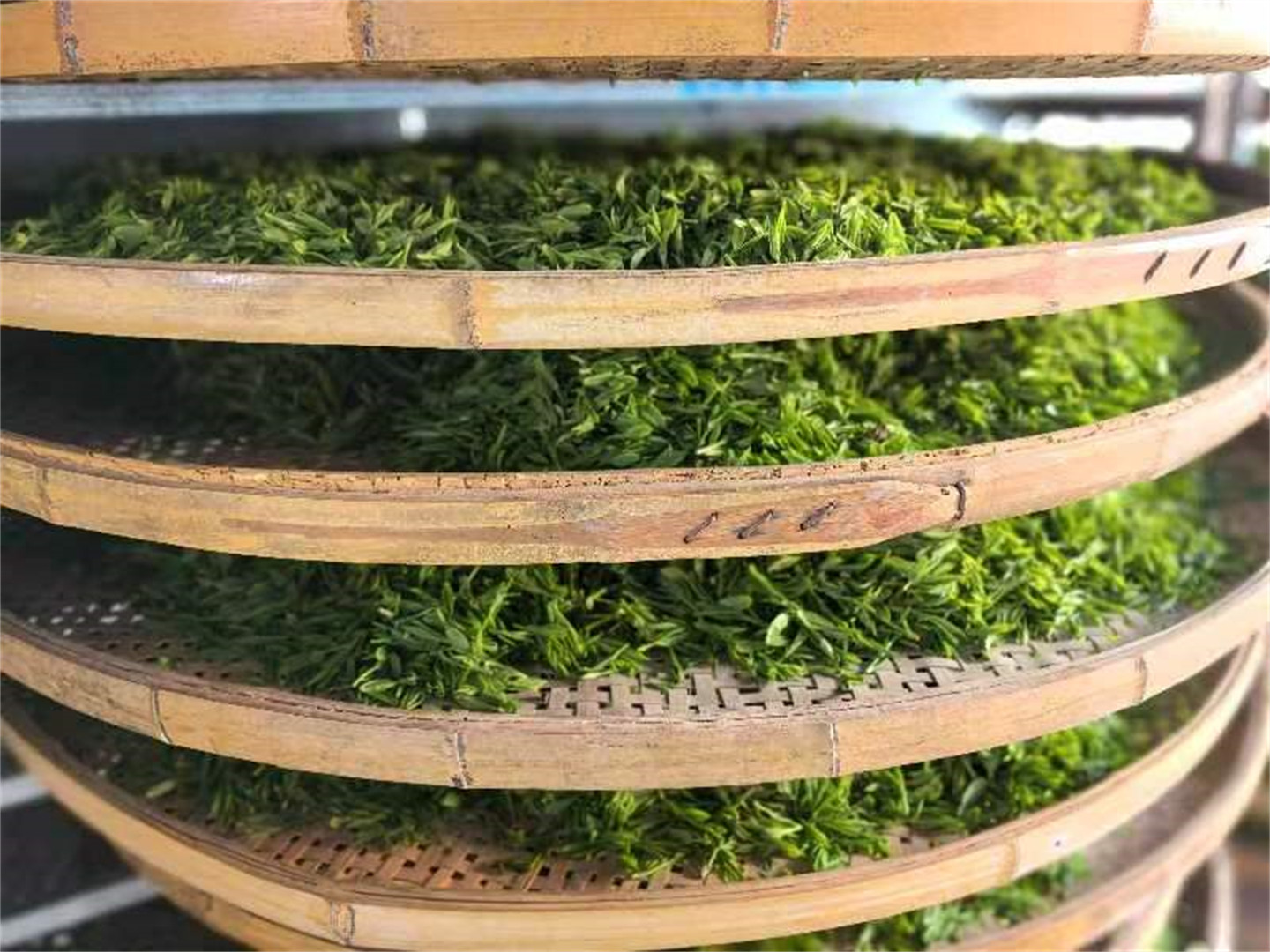 西湖龙井礼盒装