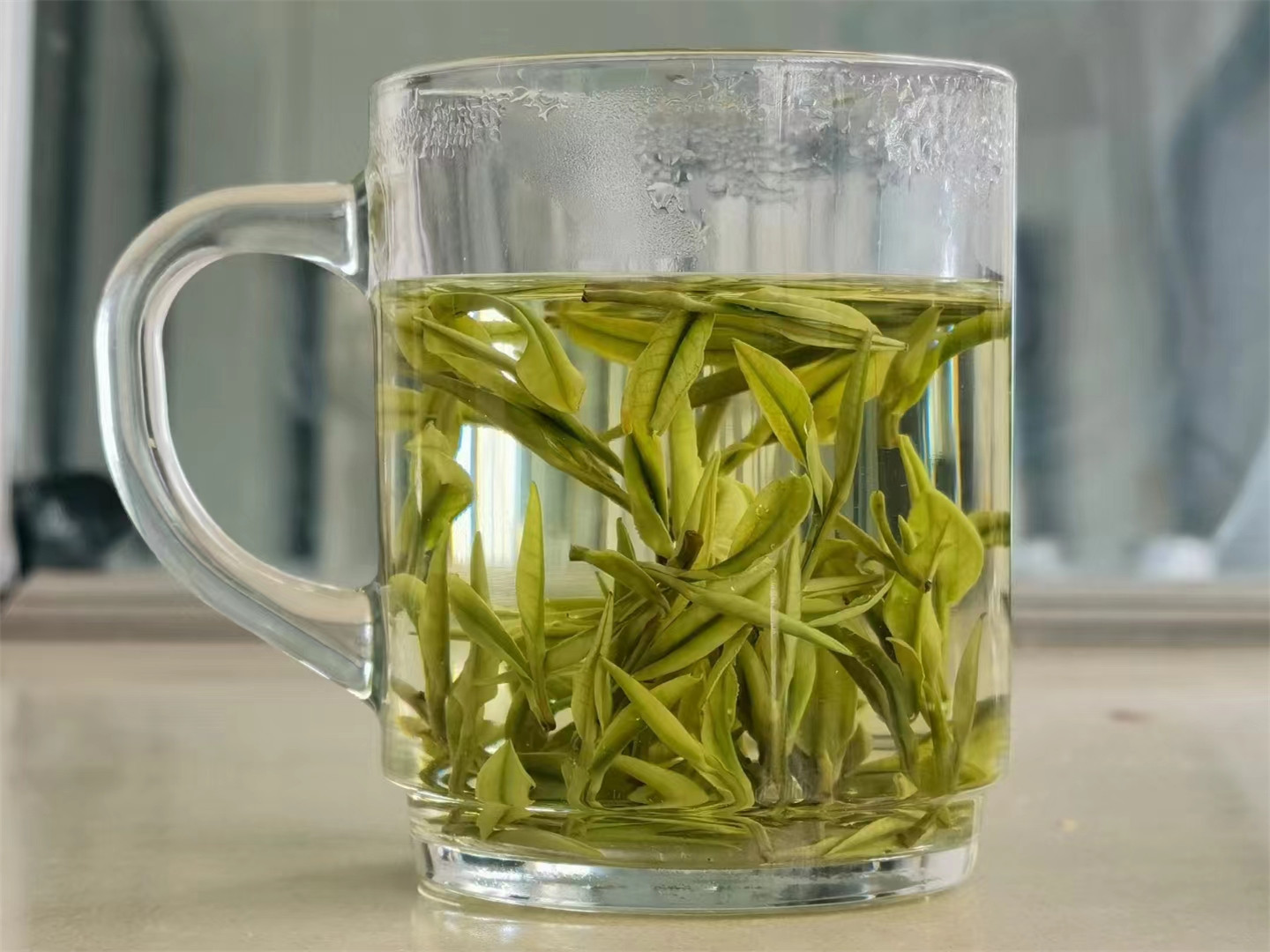 安吉白茶（头采）